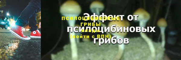 mix Абаза