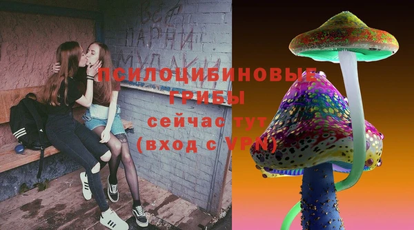каннабис Новодвинск